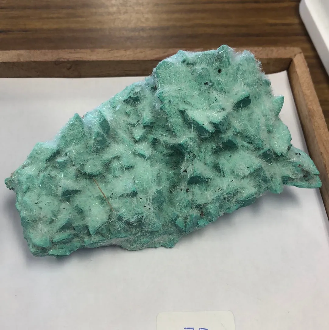 Kobyachevite Specimens