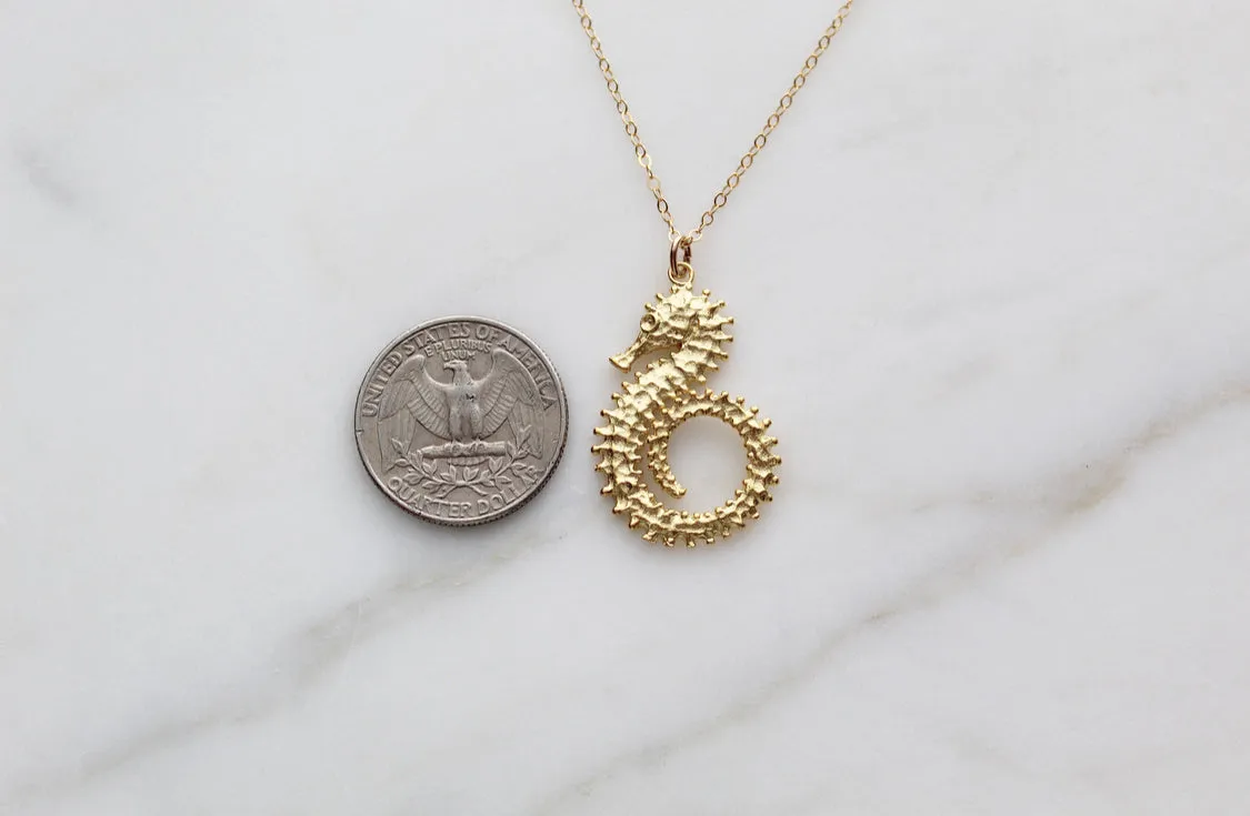 Sea Horse