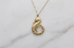 Sea Horse