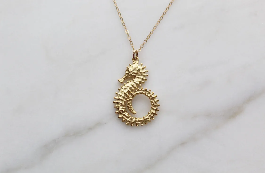 Sea Horse